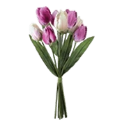 Enviar Flores Virtuais