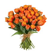 Enviar Flores Virtuais
