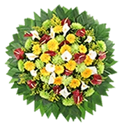 Enviar coroa de Flores Virtuais
