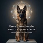 Agrovip Pet Shop